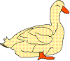 duck.gif (4550 bytes)